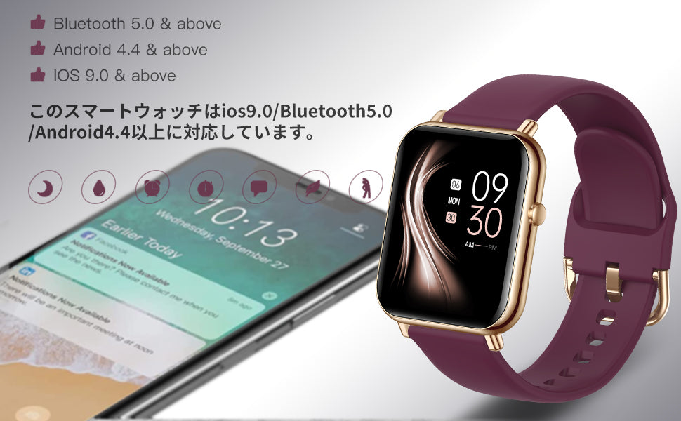 Q6 -ワインレッド